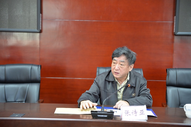 图三 张诗亚教授主题发言.jpg